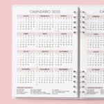 arquivo_Miolo_digital_agenda_agendamento_permamente_cabeleireira_estetica_maquiadora_salao_dentista_esteticista_designer_unhas_manicure_pedicure