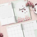 arquivo_digital_planner_devocional_leitura_biblia_oração_jejum_Anne_de_green_gables