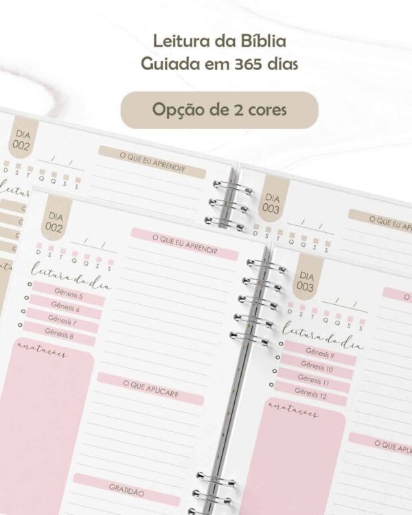 arquivo_digital_devocional_leitura_biblia_neutro_guiada_365_dias_livre_feminino_masculino