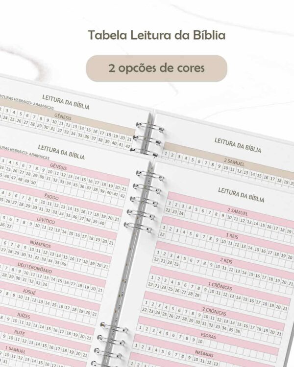 arquivo_digital_devocional_leitura_biblia_neutro_guiada_365_dias_livre_feminino_masculino_jw_testemunhas_de_jeová