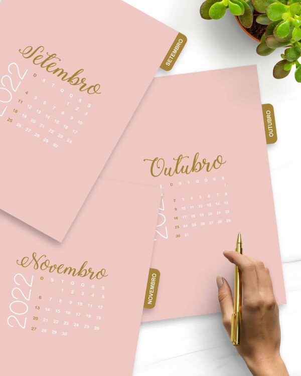 arquivo_digital_planner_pioneira_2022_2023_testemunhas_jeova_jw
