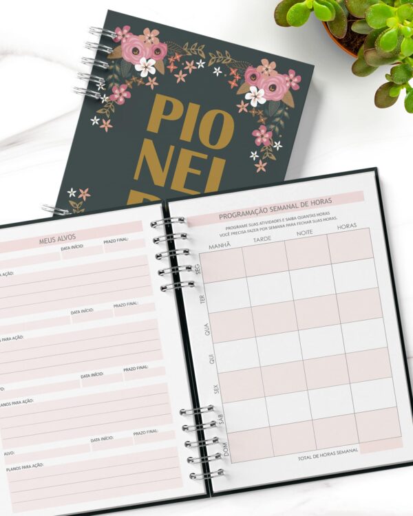 arquivo_digital_planner_pioneira_2022_2023_testemunhas_jeova_jw