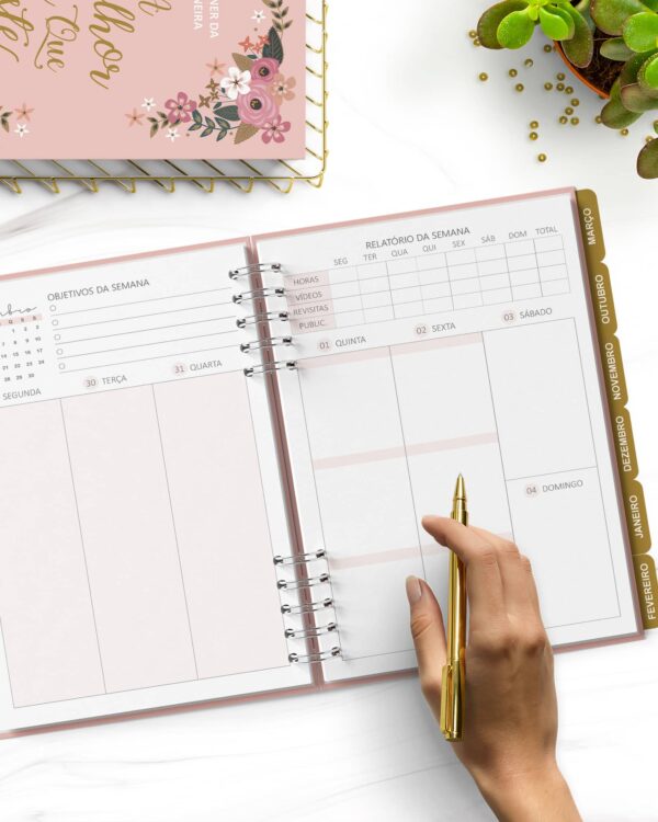 arquivo_digital_planner_pioneira_2022_2023_testemunhas_jeova_jw