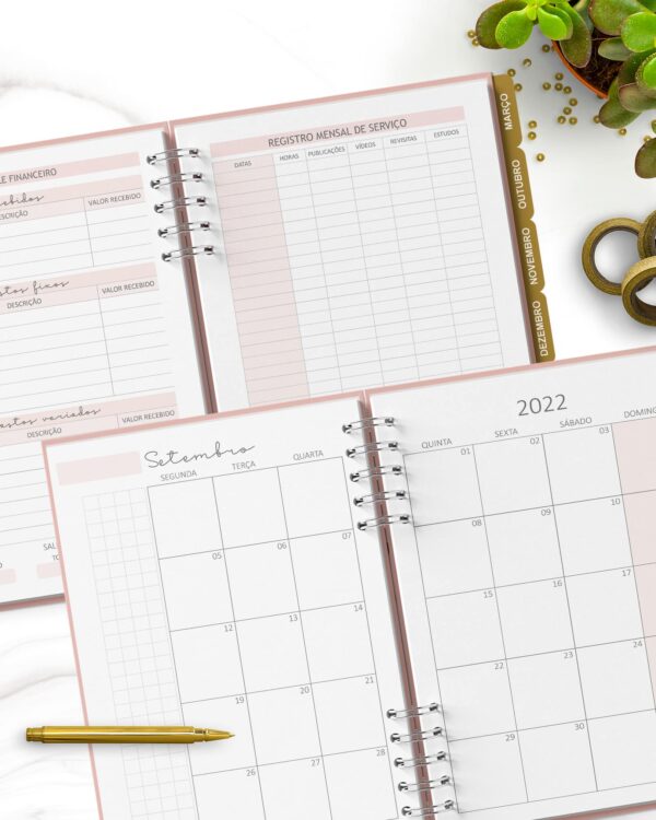 arquivo_digital_planner_pioneira_2022_2023_testemunhas_jeova_jw