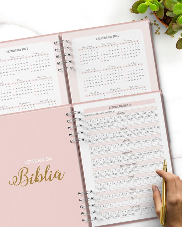 arquivo_digital_planner_pioneira_2022_2023_testemunhas_jeova_jw