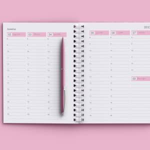 arquivo_agenda_agendamento_semanal_2023_rosa