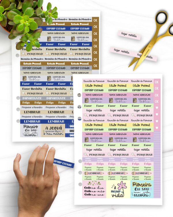 arquivo_digital_adesivo_pioneira_pioneiro_testemunhas_jeova_caderno_planner_estudos