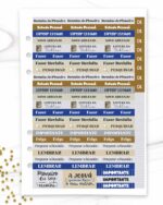 arquivo_digital_adesivo_pioneira_pioneiro_testemunhas_jeova_caderno_planner_estudos