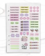 arquivo_digital_cartela_adesivo_pioneira_pioneiro_testemunhas_jeova_caderno_planner_estudos