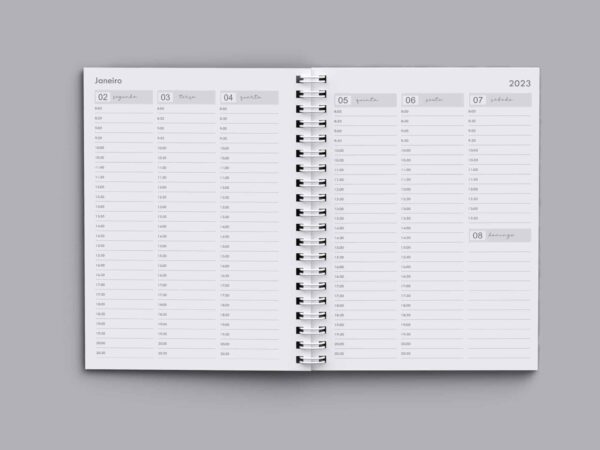arquivo_agenda_agendamento_semanal_2023_cinza_neutro_meia_hora_30_minutos