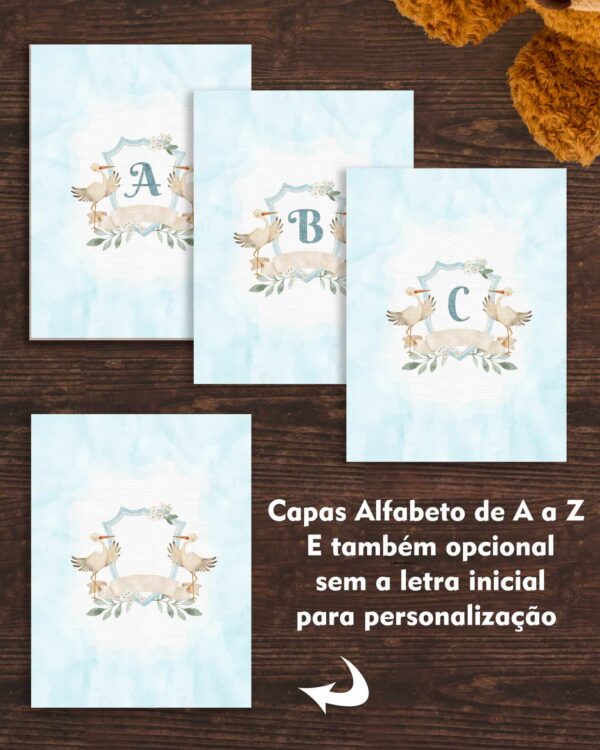 arquivo_digital_caderneta_vacina_menino_floral_vintage_carrinho_cavalinho