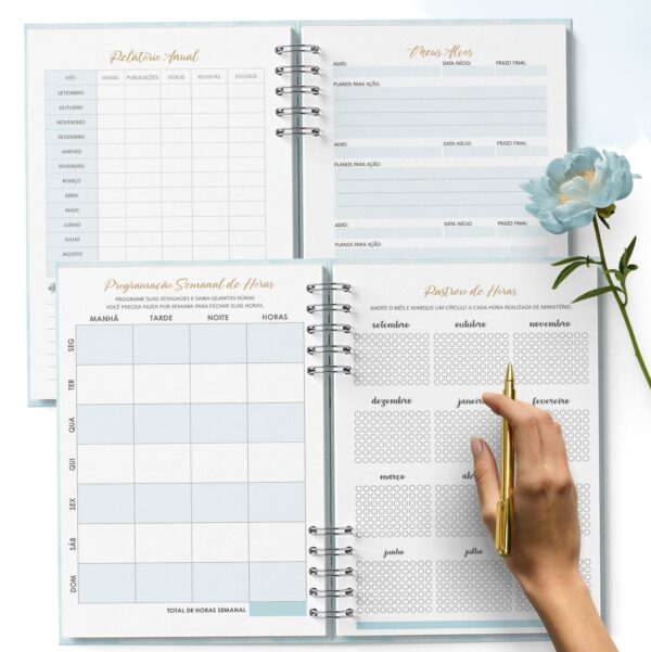 arquivo_digital_planner_pioneira_2023_2024_ano_de_serviço