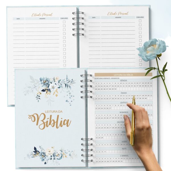 arquivo_digital_planner_pioneira_2023_2024_ano_de_serviço
