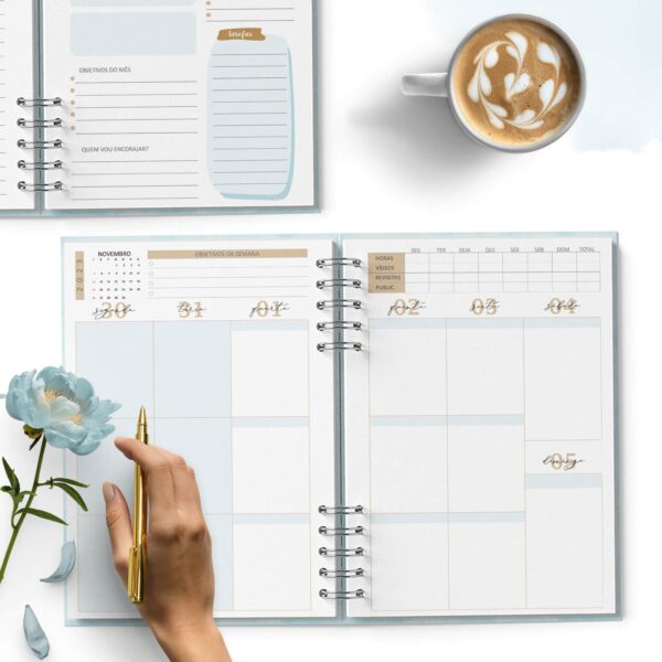 arquivo_digital_planner_pioneira_2023_2024_ano_de_serviço
