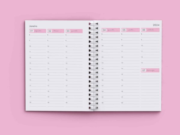 arquivo_agenda_agendamento_semanal_2024_rosa