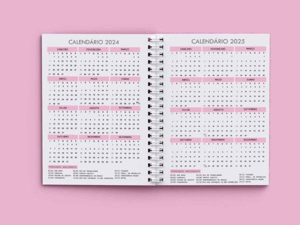 arquivo_agenda_agendamento_semanal_2024_rosa