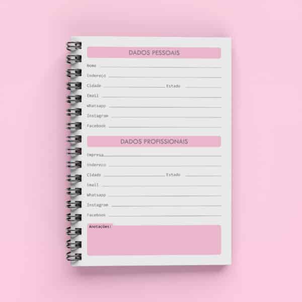 arquivo_agenda_agendamento_semanal_2024_rosa