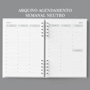 arquivo_digital_agenda_agendamento_semanal_30_em_30_Minutos_neutra