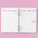 arquivo_digital_agenda_agendamento_semanal_30_em_30_Minutos_rosa