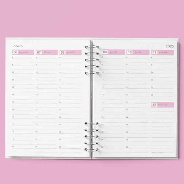 arquivo_digital_agenda_agendamento_semanal_30_em_30_Minutos_rosa
