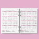 arquivo_digital_agenda_agendamento_semanal_30_em_30_Minutos_rosa