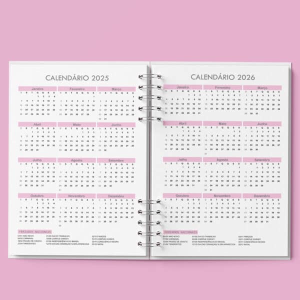 arquivo_digital_agenda_agendamento_semanal_30_em_30_Minutos_rosa