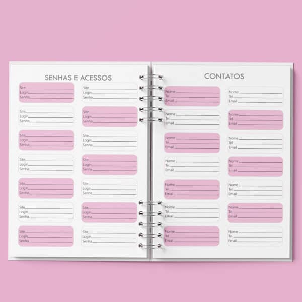 arquivo_digital_agenda_agendamento_semanal_30_em_30_Minutos_rosa