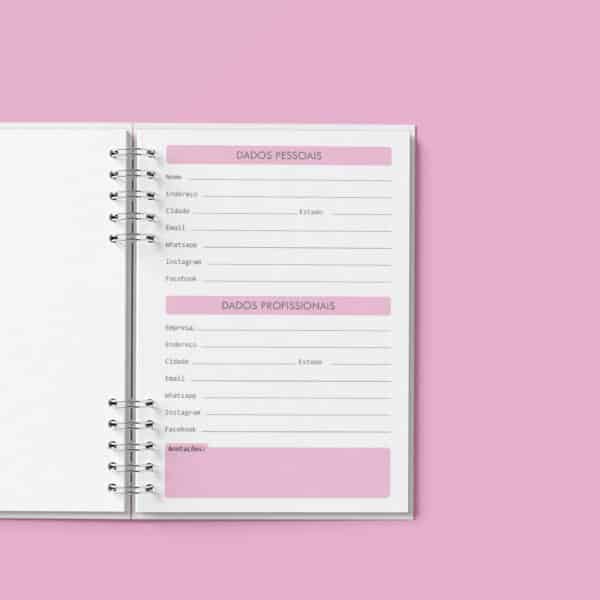 arquivo_digital_agenda_agendamento_semanal_30_em_30_Minutos_rosa