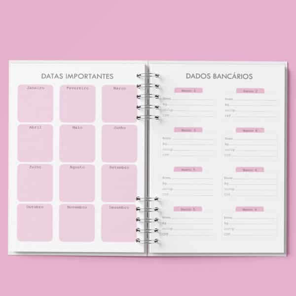 arquivo_digital_agenda_agendamento_semanal_30_em_30_Minutos_rosa