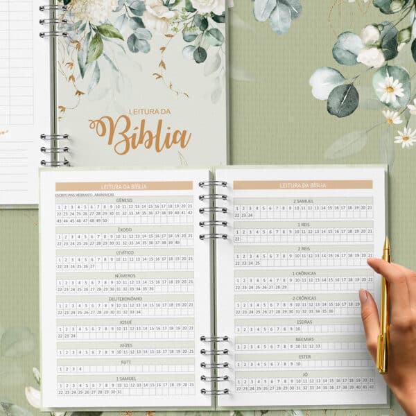 arquivo_digital_planner_pioneira_2025_2026_ano_de_servico