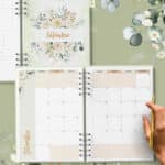 arquivo_digital_planner_pioneira_2025_2026_ano_de_servico