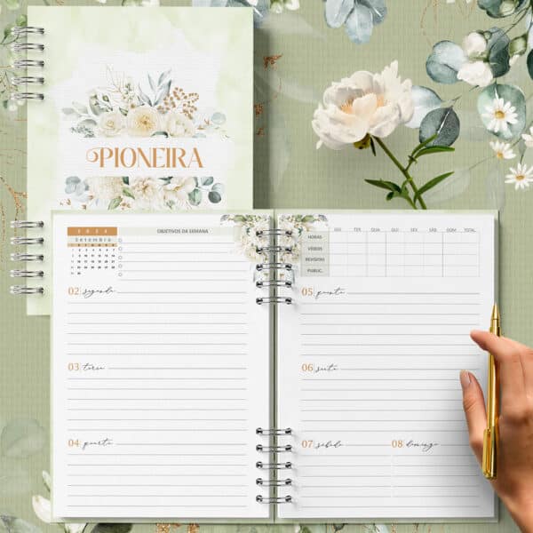 arquivo_digital_planner_pioneira_2025_2026_ano_de_servico