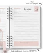 Arquivo_MIOLO_1DPP_2026_CALENDARIO_E_VERSICULO