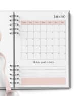 Arquivo_visao_mensal_agenda_planner
