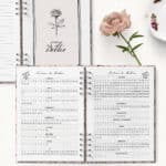 arquivo_digital_planner_pioneira_2025_2026_ano_de_servico