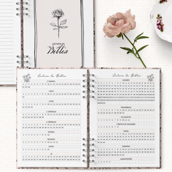 arquivo_digital_planner_pioneira_2025_2026_ano_de_servico