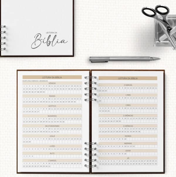arquivo_digital_planner_pioneira_2025_2026_ano_de_serviço_MASCULINO